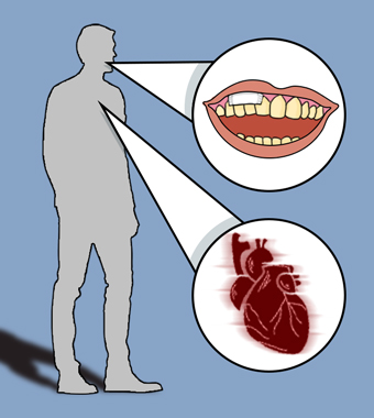 Snus Effects
