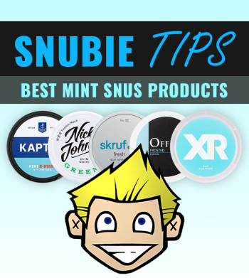 Best Mint Snus Products