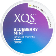 XQS Blueberry Mint Strong Slim