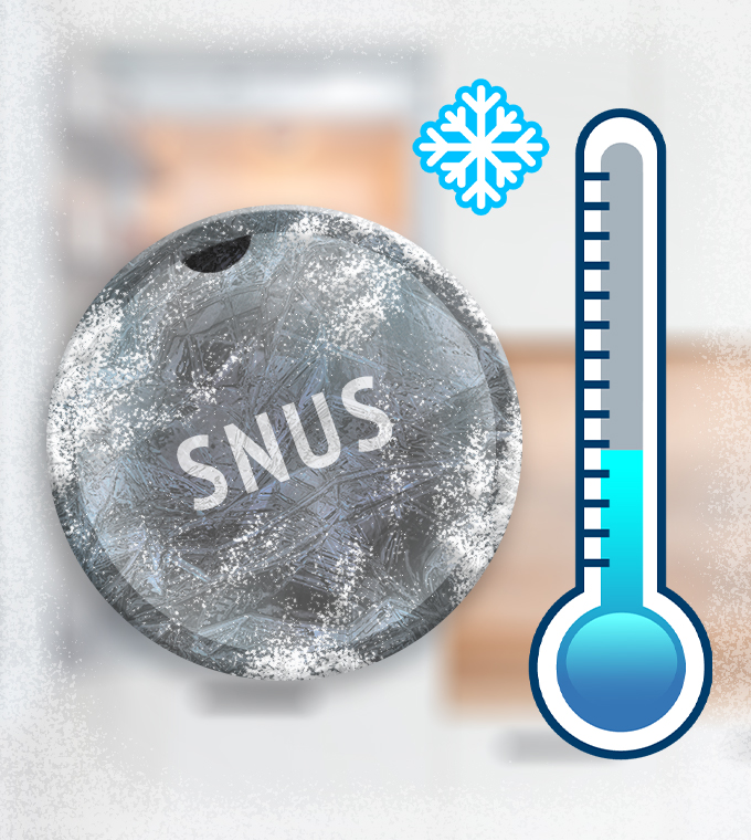 How to store snus? 