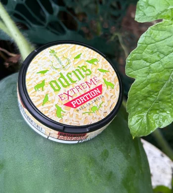 Review: Oden’s Extreme Melon
