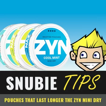 Pouches That Last Longer Than Zyn (Mini Dry)