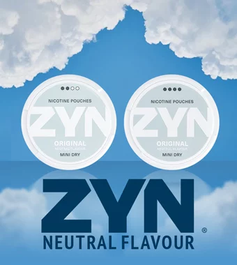 New: Zyn Original Mini Dry
