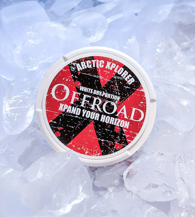 Review: Offroad Arctic Explorer
