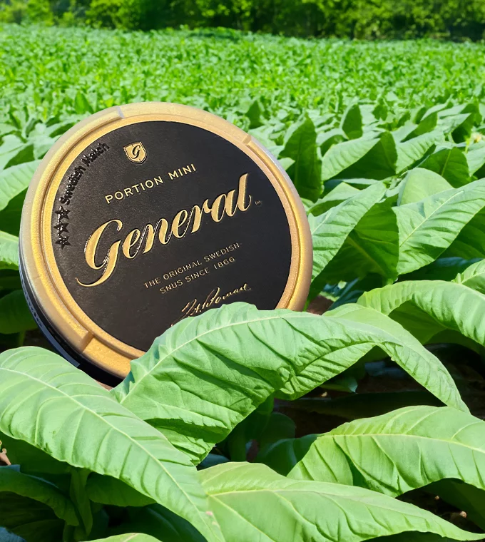 Review: General Mini Original Portion