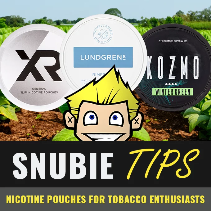 Nicotine Pouches for Tobacco Enthusiasts