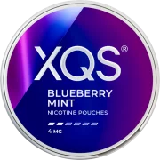 XQS Blueberry Mint 4MG