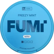FUMi Freezy Mint Mini Regular