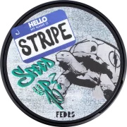 Stripe Speed up 10