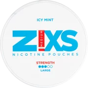 Zixs Icy Mint Large