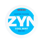 Zyn Cool Mint Super Strong Mini Dry
